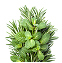 Dead Sea Soak, Rosemary Mint 5lb